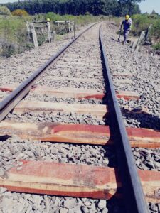 Mejoramiento intensivo de vías en obra para el Belgrano Cargas y Logística en Federación Entre Ríos