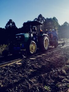 Mejoramiento intensivo de vías en obra para el Belgrano Cargas y Logística en Federación Entre Ríos
