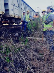 Mejoramiento intensivo de vías en obra para el Belgrano Cargas y Logística en Federación Entre Ríos