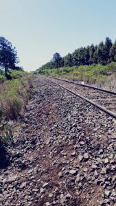 Mejoramiento intensivo de vías en obra para el Belgrano Cargas y Logística en Federación Entre Ríos